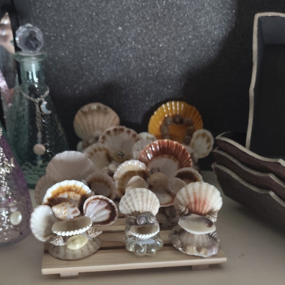 Decorative Seashell Display with Natural Tones